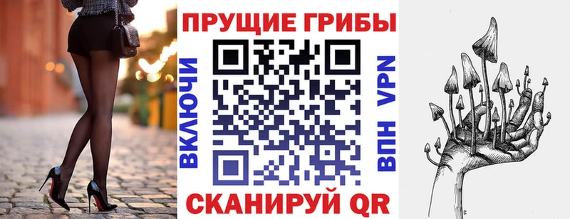 Галлюциногенные грибы Cubensis  Ессентукская 